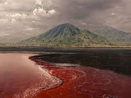 Scenic view · Lake Natron